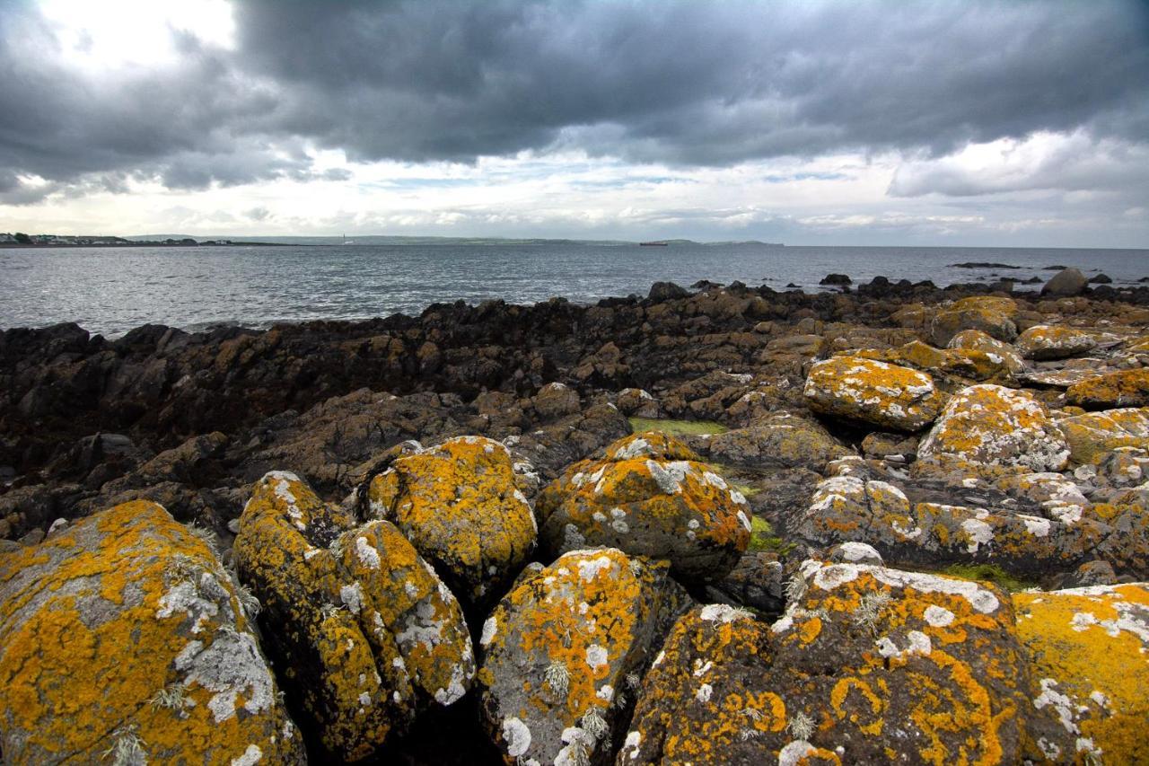 Tern Cottage Groomsport 외부 사진